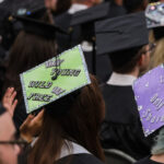 Collection of customized graduation caps