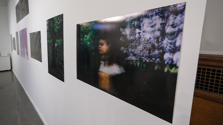 Artwork by Link Berger as part of the senior capstone presentation "Down the Rabbit Hole" at Slippery Rock University's Martha Gault Art Gallery.