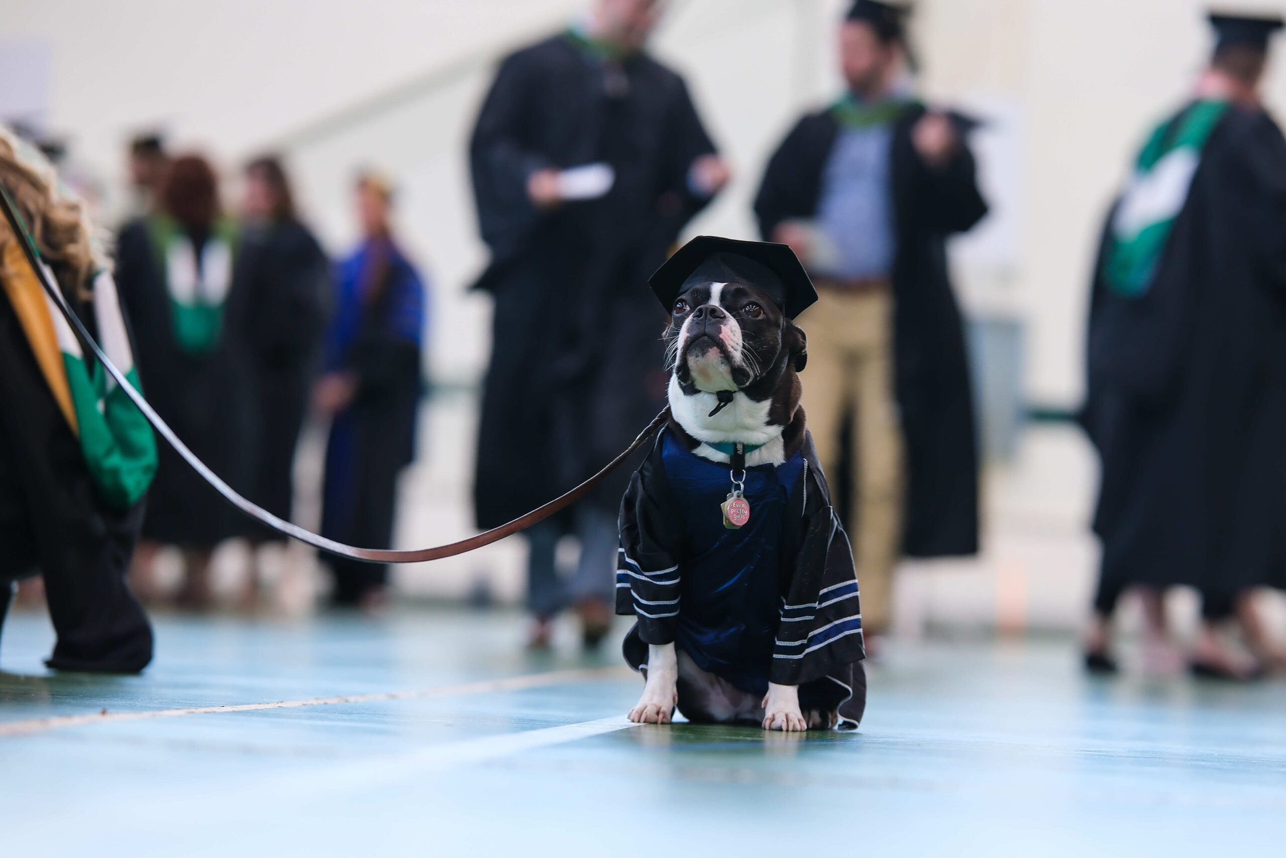 Graduates celebrating