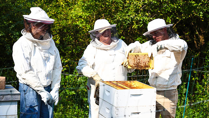 Beekeepers move honeybees at an apiary at SRU's Macoskey Center. A discussion about honeybees is one of many Earth Month programs at SRU in April.