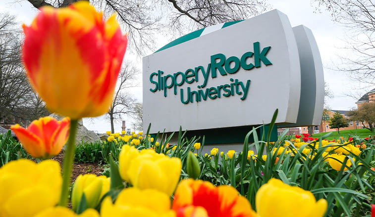 SRU Sign