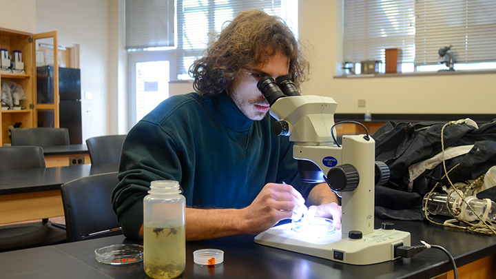 Student in a lab looking at a specimen under a microscope.